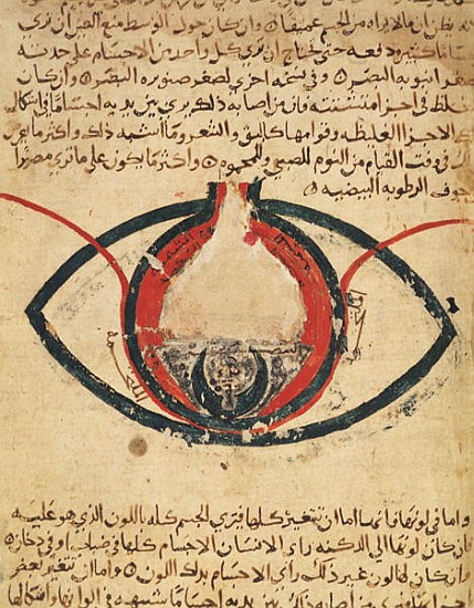 Anatomy of the Eye, from a book on eye diseases a Al-Mutadibi