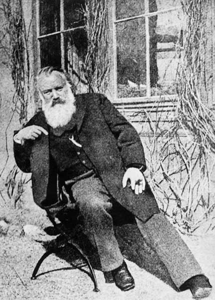 Johannes Brahms, c.1897 a Austrian Photographer