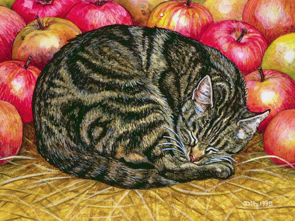 Left-Hand Apple-Cat, 1995 (acrylic on panel)  a Ditz 