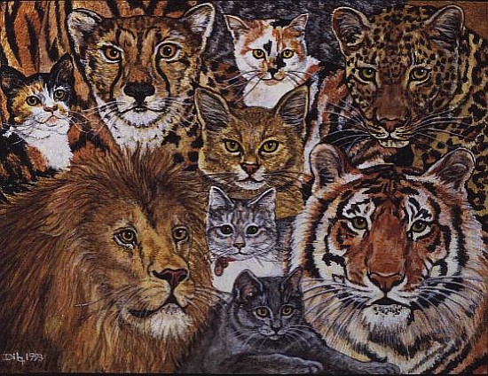 Ileana''s Semi-Wild Cat-Spread-Patch, 1993  a Ditz 
