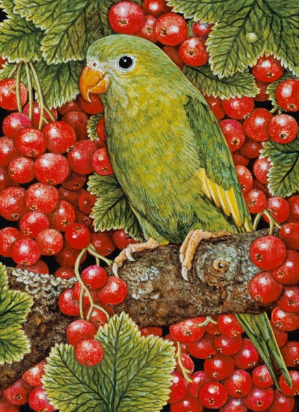 Redcurrant-Parakeet, 1995 (acrylic on panel)  a Ditz 