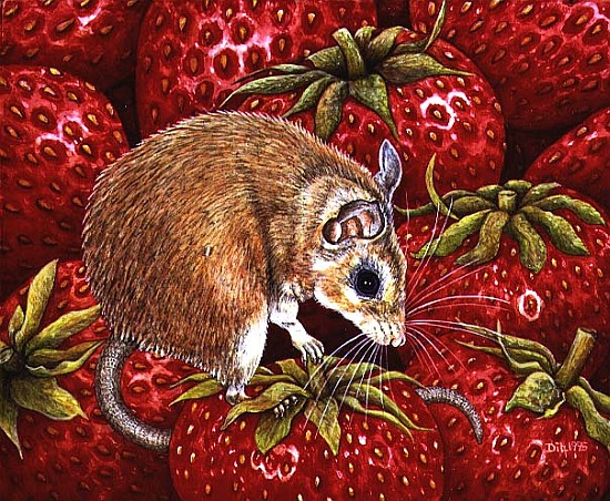 Strawberry-Mouse, 1995 (acrylic on panel)  a Ditz 