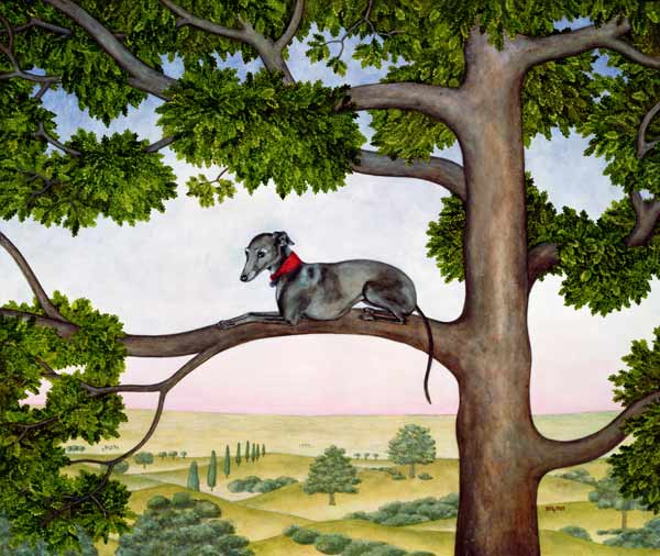 The Tree Whippet a Ditz 