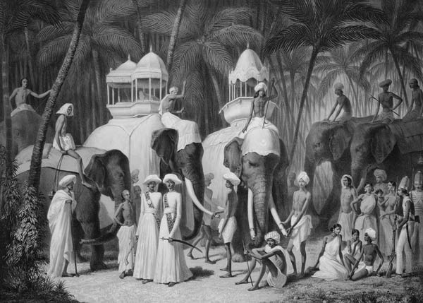 Elephants of the Raja of Travandrum, from 'Voyage in India' engraved by Louis Henri de Rudder (1807- a A. Soltykoff