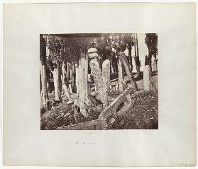 Constantinople: Turkish Cemetery in Scutari