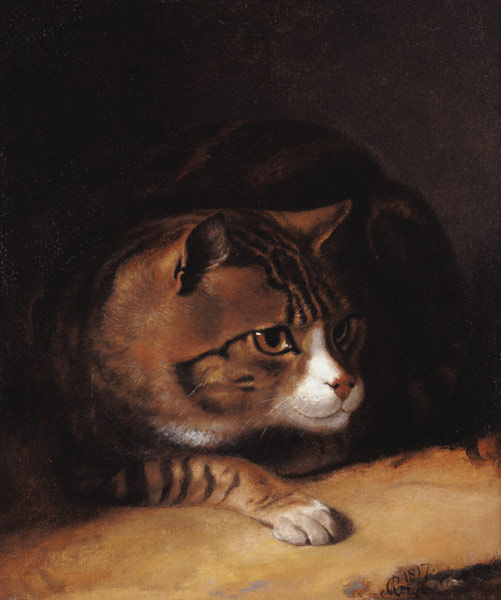 A Tabby Cat a Abraham Cooper