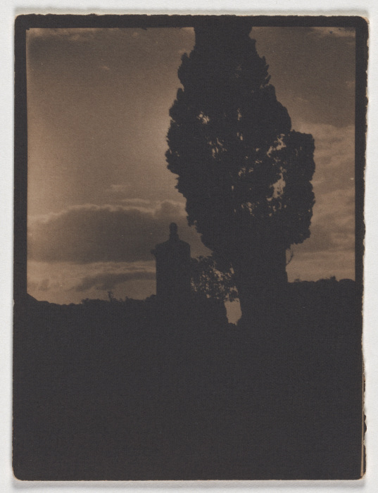 Silhouette of tree and tower in the evening sky a Adolf DeMeyer