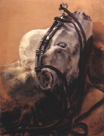 Tête de cheval couchée, bidée a Adolph Friedrich  von Menzel