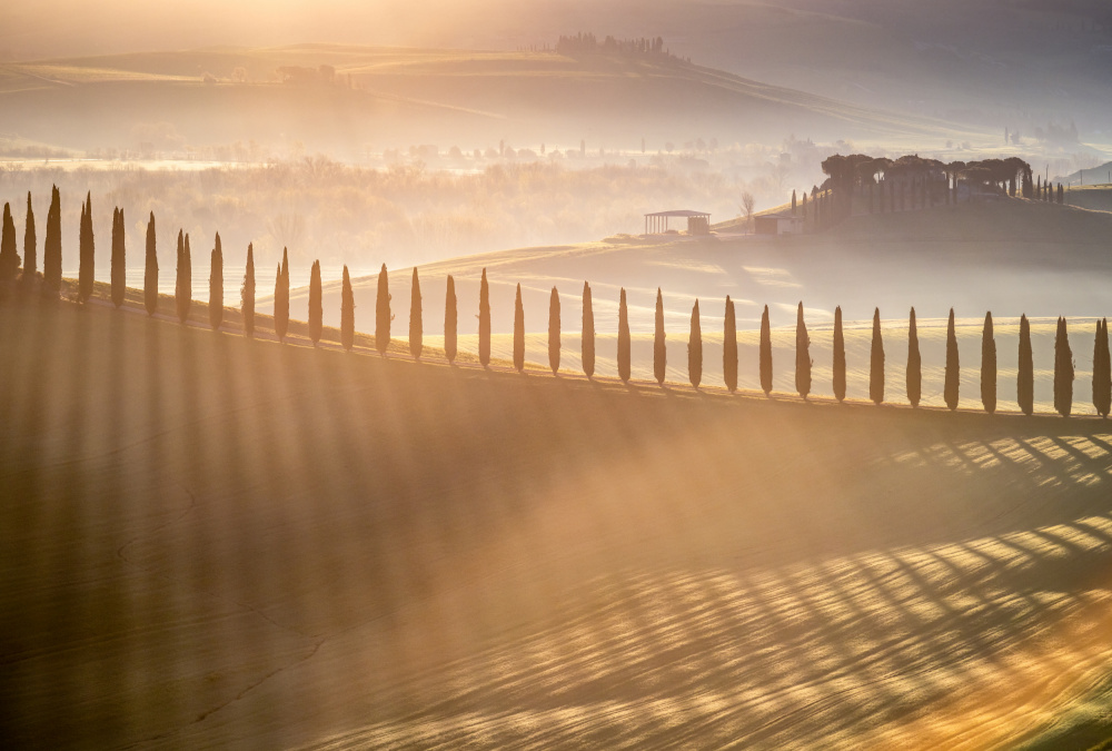 Tuscan Sunrise a Adrian Popan