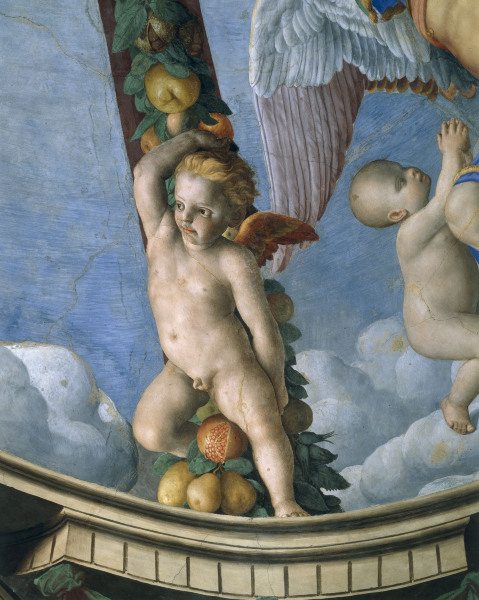 Bronzino, Putto with fruit garland a Agnolo Bronzino