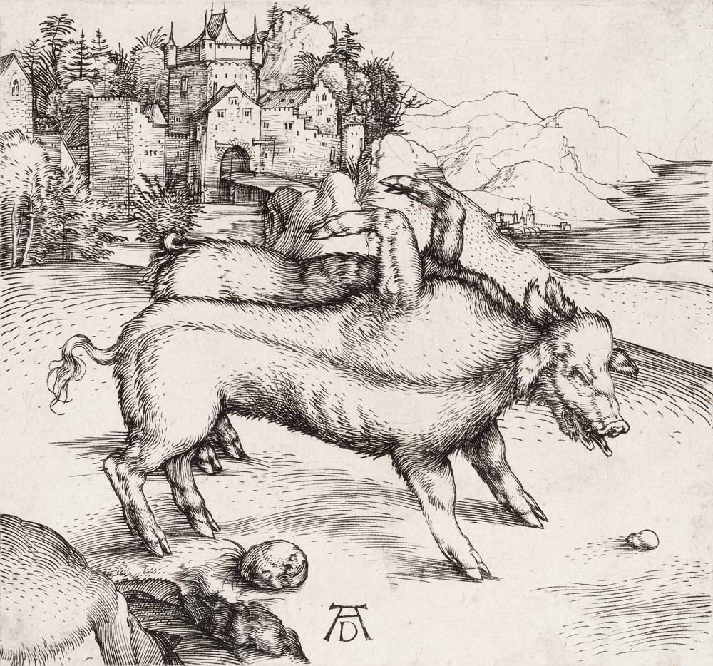 Die Missgeburt eines Schweins (Die wunderbare Sau von Landser) a Albrecht Durer