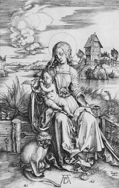 Maria mit der Meerkatze a Albrecht Durer