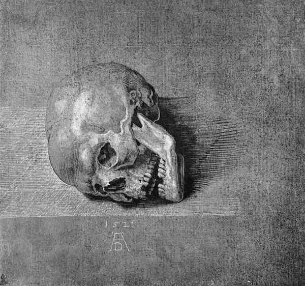 A.Dürer, Skull / Draw./ 1521 a Albrecht Durer
