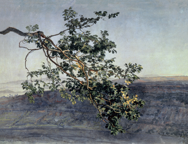 A branch a Alexander Andrejewitsch Iwanow
