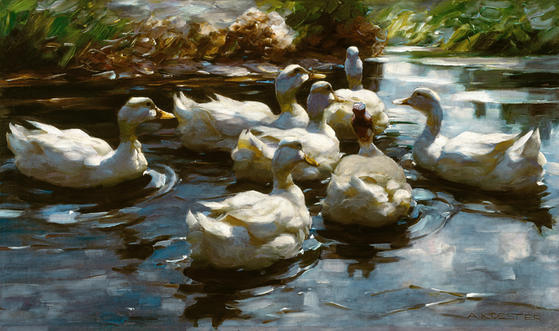 Ducks in the pond a Alexander Koester