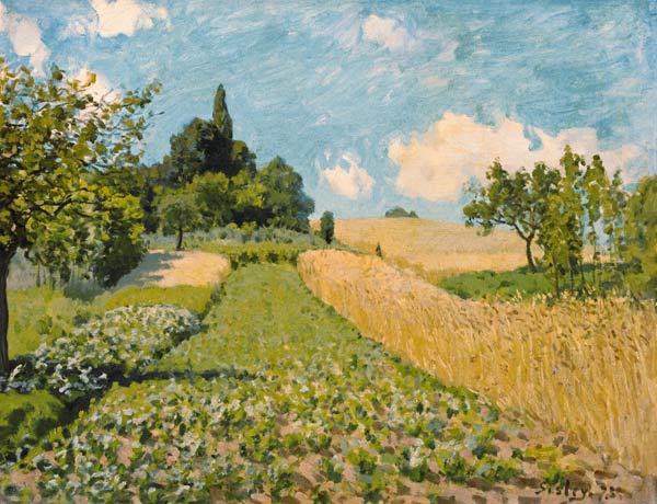 Summer landscape with fields a Alfred Sisley
