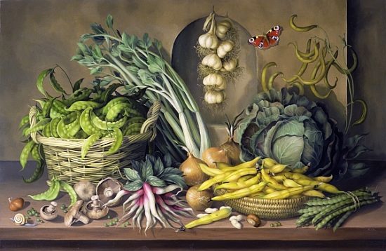 Garlic and radishes and a peacock buttefly a  Amelia  Kleiser
