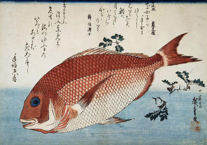 Red Sea Bream a Ando oder Utagawa Hiroshige