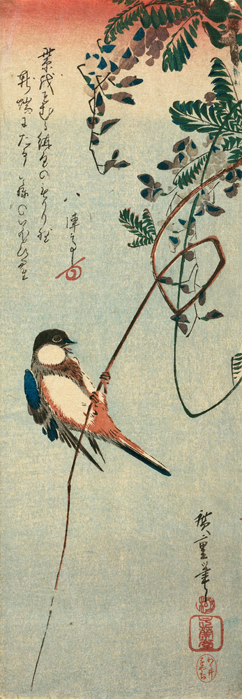 Schwalbe auf einem Ast einer Glyzinie sitzend. a Ando oder Utagawa Hiroshige