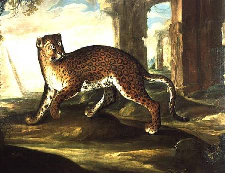 A Jaguar a Andrea the Elder Scacciati