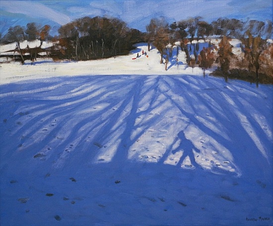 Shadow of Sledger a Andrew  Macara