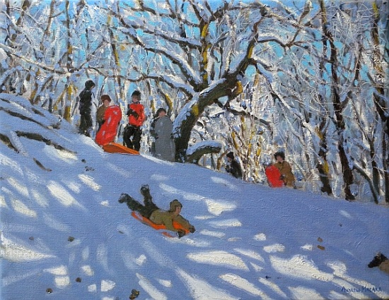 Sledging in Allestree Woods a Andrew  Macara