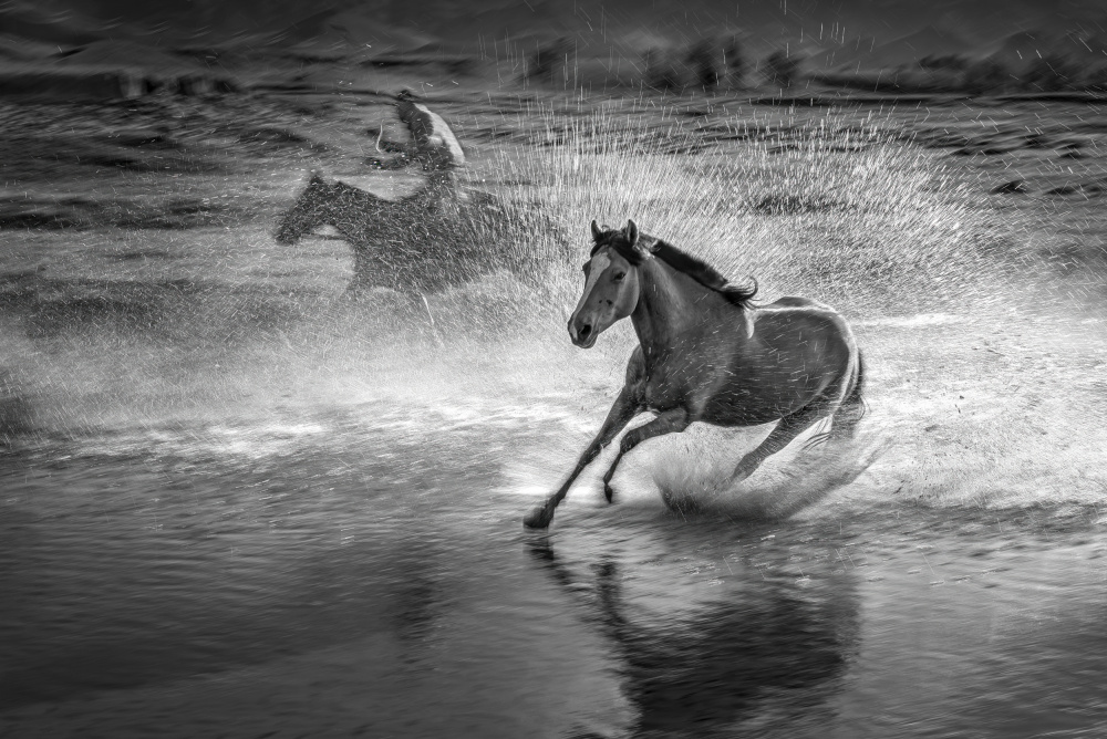 Running horses a Anna Zhang