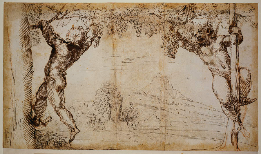 Two Young Satyrs picking Grapes a Annibale Carracci