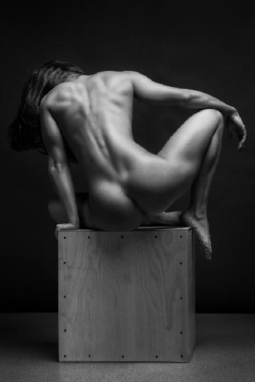 bodyscape