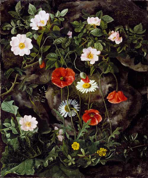 Game roses, poppies and daisy at a stone bank. a Augusta Laessoe