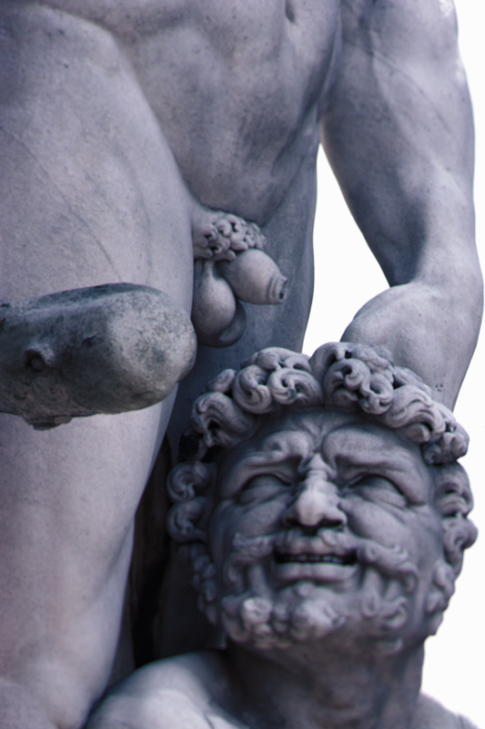 Detail from the Statue of Hercules and Cacus a Baccio Bandinelli