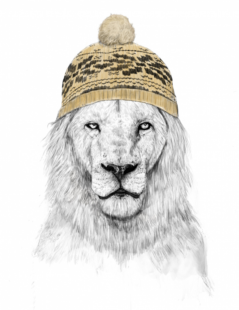 Winter Lion a Balazs Solti
