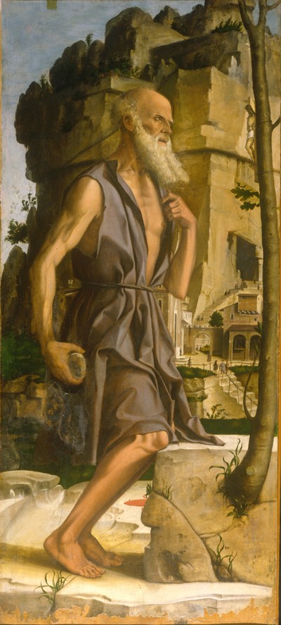 Saint Jerome a Bartolomeo Montagna