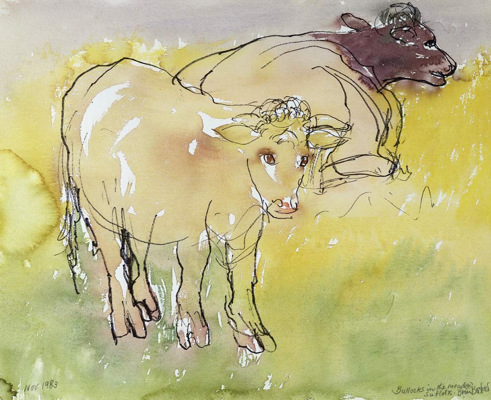 Young Bullocks in the Meadow, 1983 (pen & ink with w/c on paper)  a Brenda Brin  Booker
