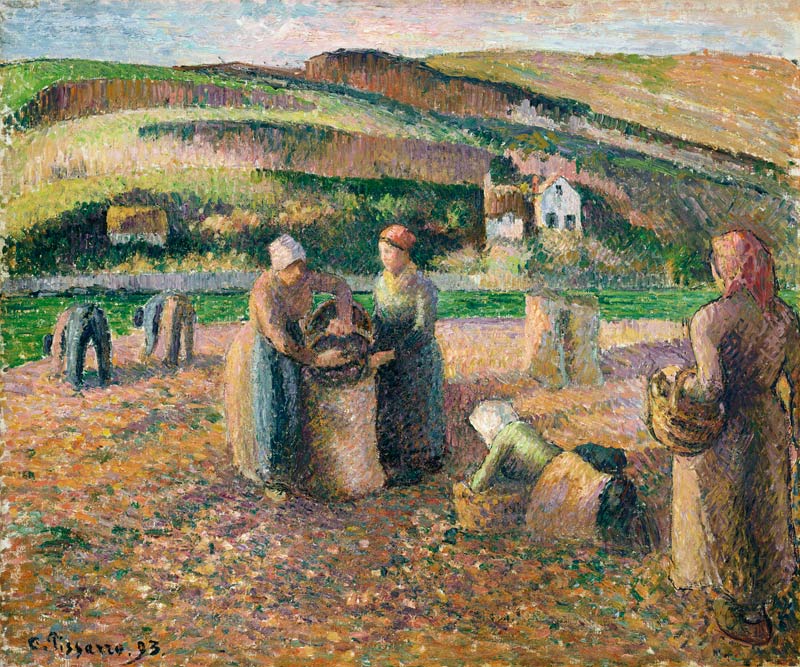 Kartoffelernte a Camille Pissarro