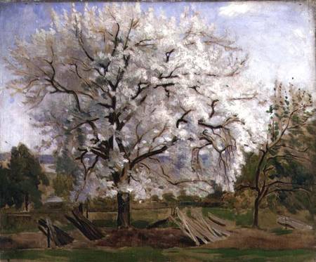 Apple Tree in Blossom a Carl Fredrik Hill