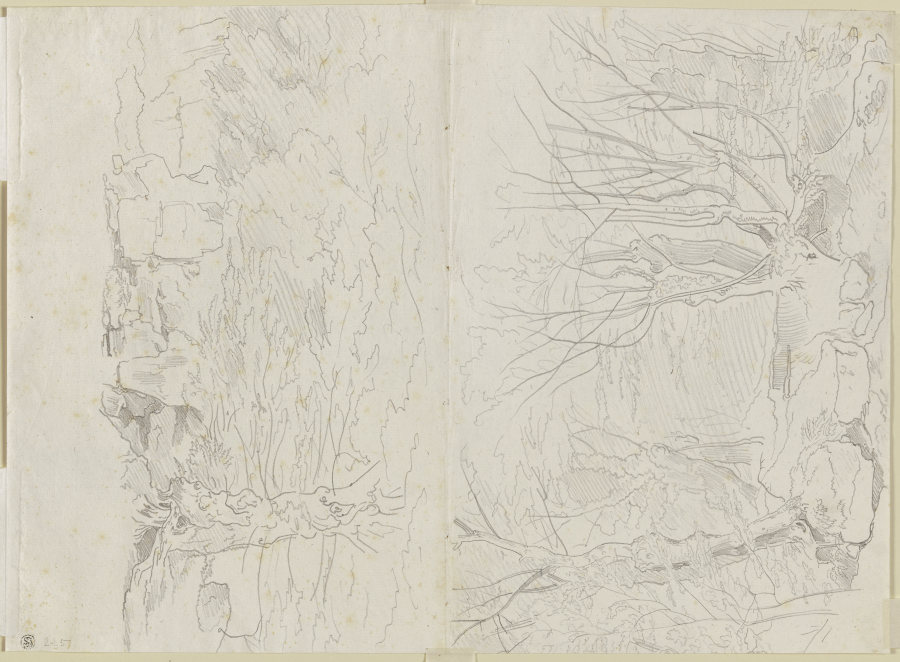Zwei Landschaften, Waldinneres mit Geröll, Weiden und anderen Bäumen a Carl Philipp Fohr