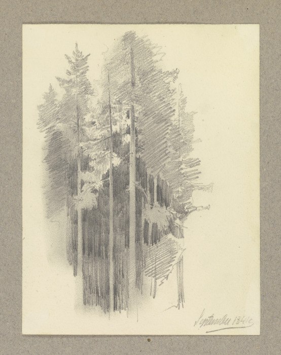 Thick conifer forest a Carl Theodor Reiffenstein