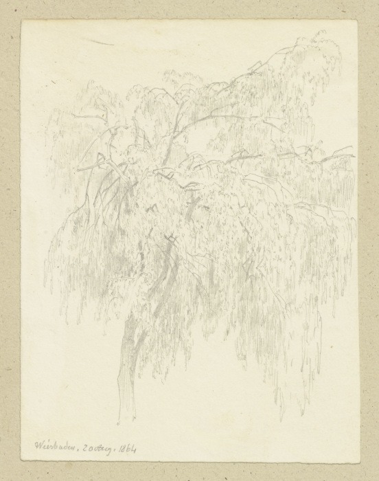 Weeping willow a Carl Theodor Reiffenstein