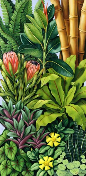 Foliage III, 2005 (oil on canvas)  a Catherine  Abel