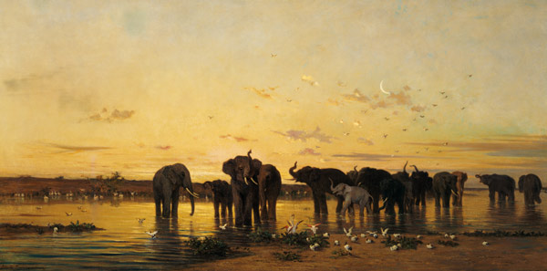 African Elephants a Charles Emile de Tournemine