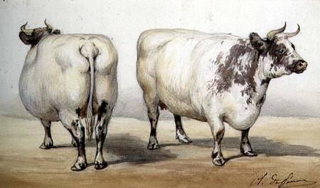 Study of two long-horned cows a Charles Oliver de Penne