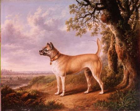 A Terrier on a path in a wooded landscape a Charles Towne