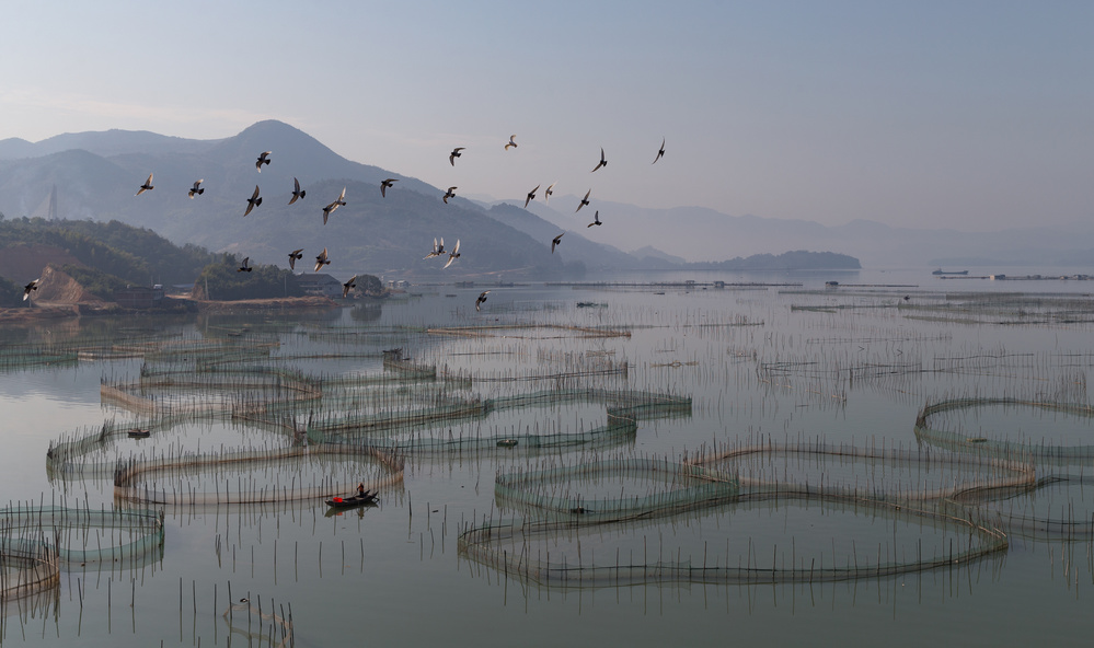 An aquaculture farm at Fuding a Cheng Chang