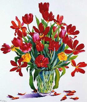 Tulips