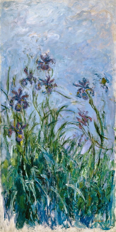 Iris Mauves a Claude Monet