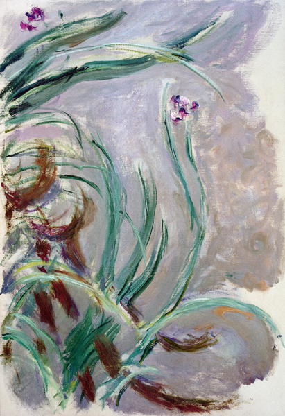 Iris a Claude Monet