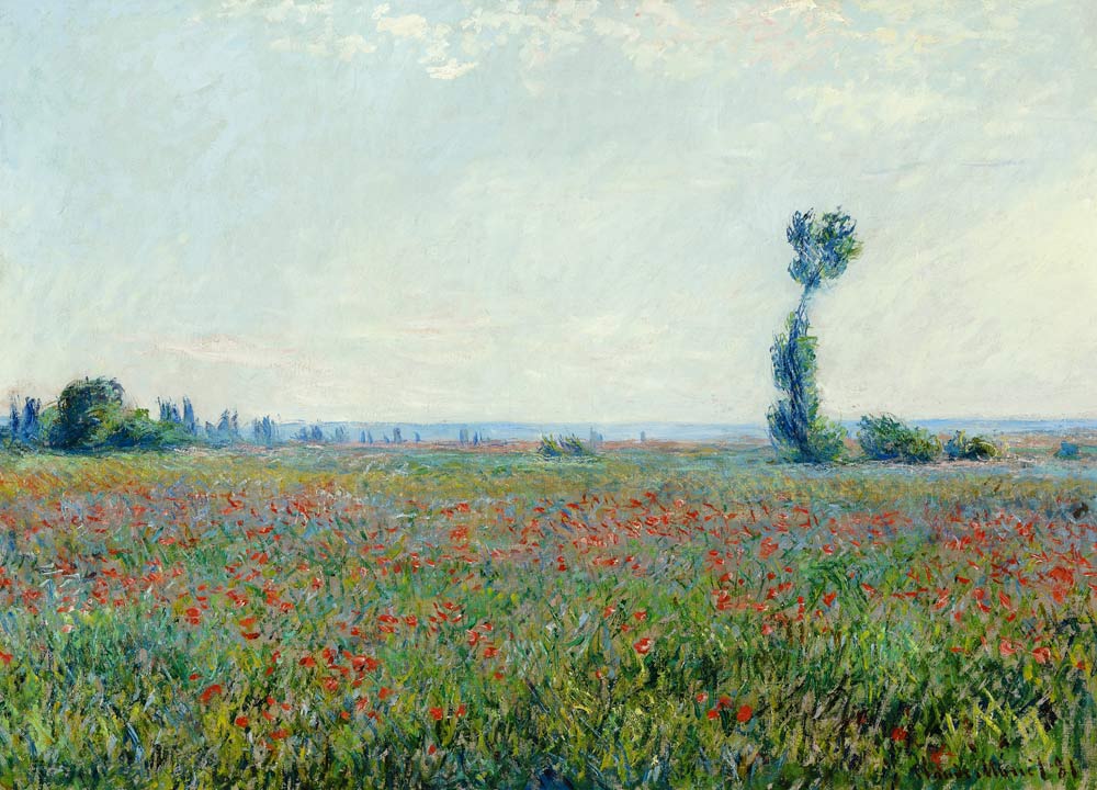 Poppy field a Claude Monet