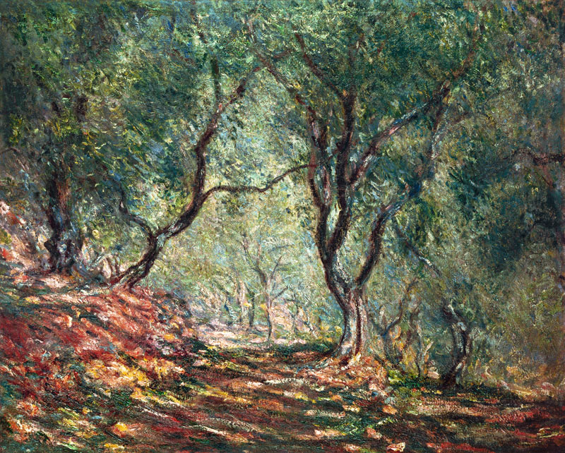 Oliveto nel giardino Moreno a Claude Monet