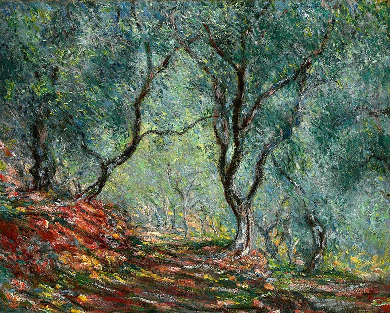 Oliveto nel giardino Moreno a Claude Monet